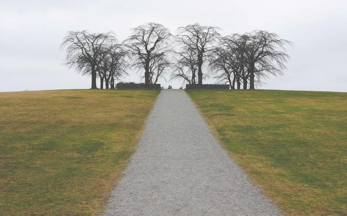 Camino de grava que sube a una colina con árboles sin hojas, en un día gris